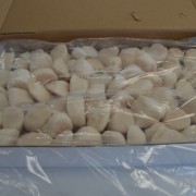 Frozen Sea Scallop Delivery