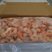 Shellfish Delivery - Extra Large Shrimp